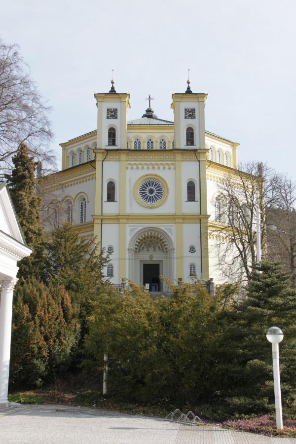 Apartman Karlovarska Маріанські Лазні Екстер'єр фото